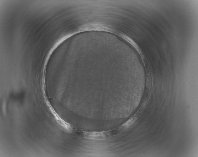 X0000078861144200612111641