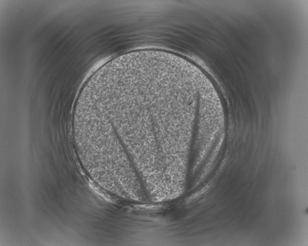 X0000078861145200612111641