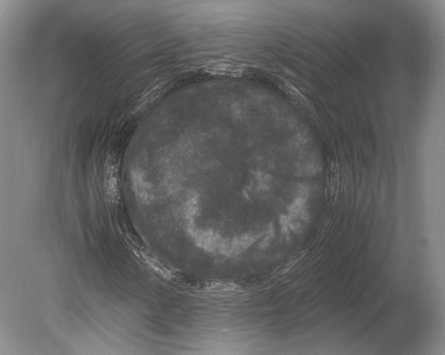 X0000078861154200612111640