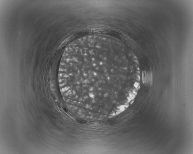 X0000078861155200612111640
