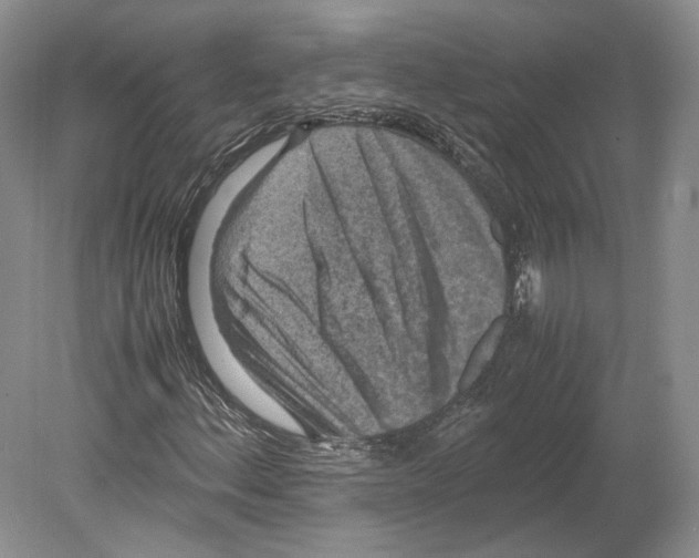 X0000078861156200612111640
