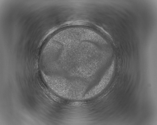 X0000078861166200612111640