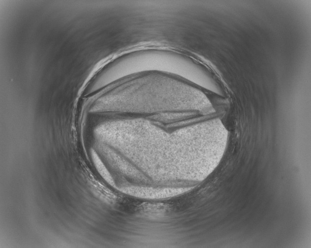 X0000078861168200612111640
