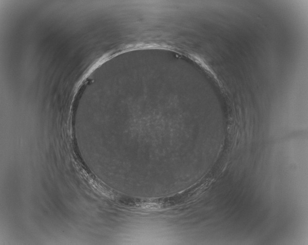 X0000078861173200612111640