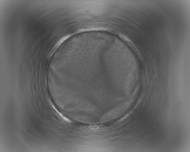 X0000078861177200612111640