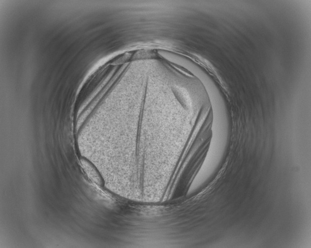 X0000078861184200612111639