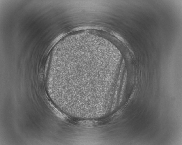 X0000078861185200612111639
