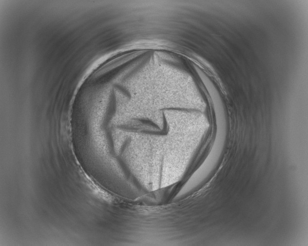 X0000078861192200612111639