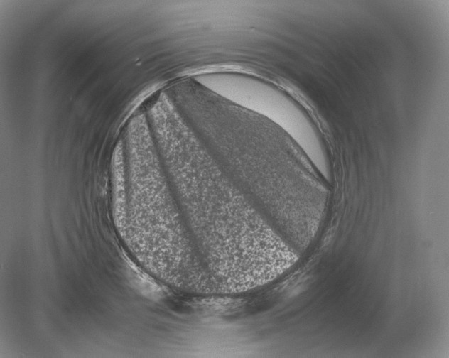 X0000078861193200612111639