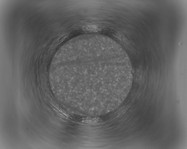 X0000078861201200612111638