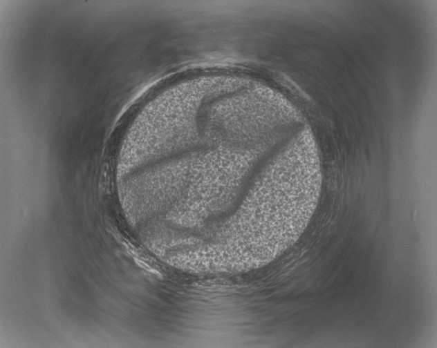 X0000078861208200612111638
