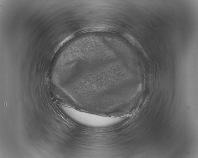 X0000078861210200612111639