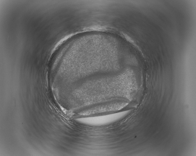 X0000078861214200612111639