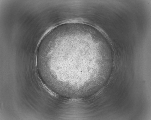 X0000078861224200612111639