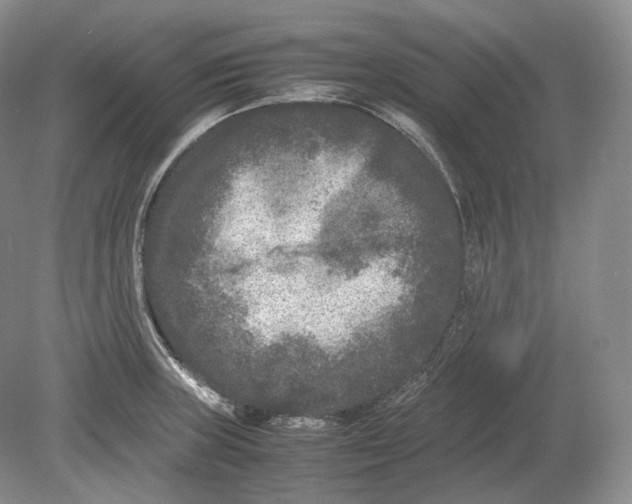 X0000078861235200612111639