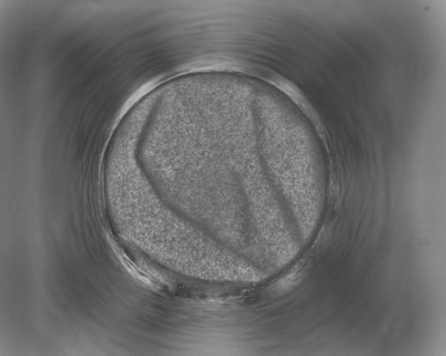 X0000078861242200612111639