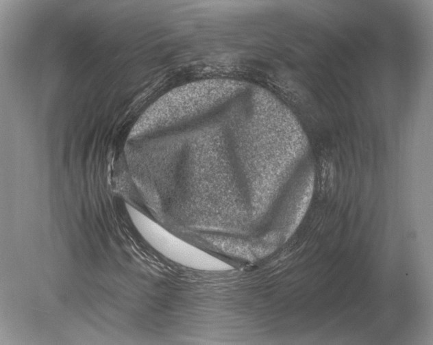 X0000078861250200612111638