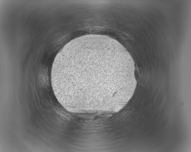 X0000078861252200612111638