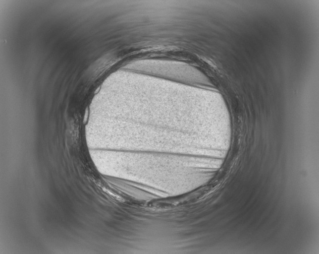 X0000078861257200612111638