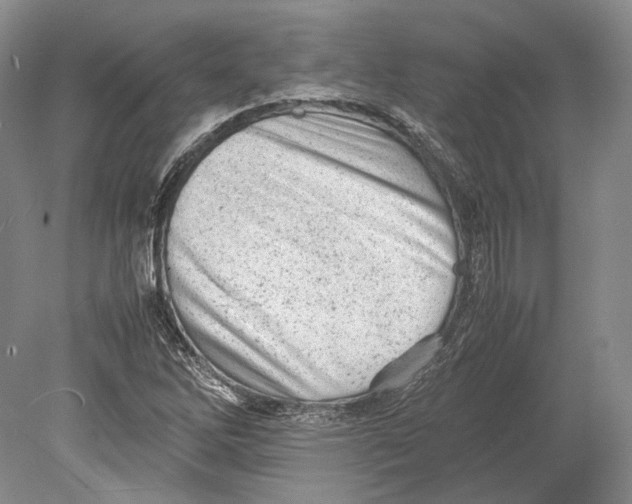 X0000078861262200612111638