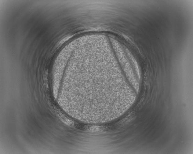 X0000078861265200612111638