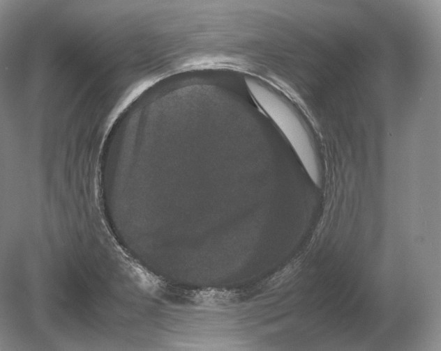 X0000078861277200612111638