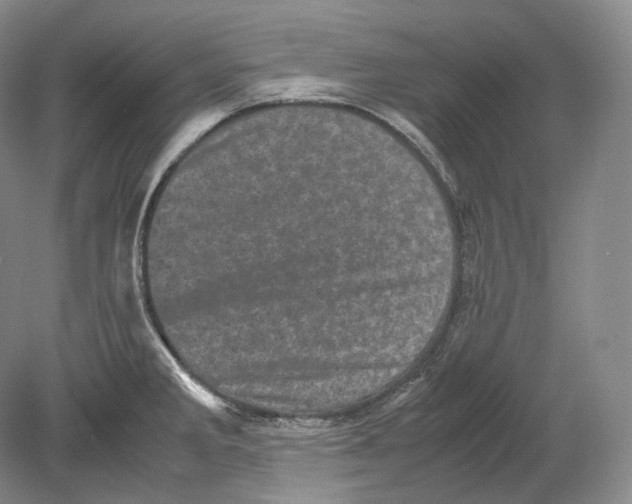 X0000078861285200612111638