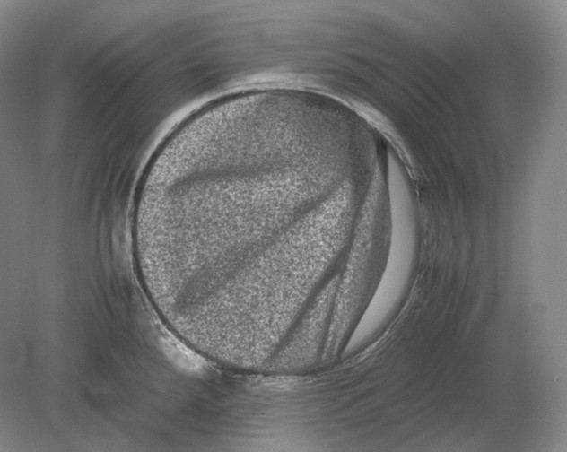 X0000078861288200612111638