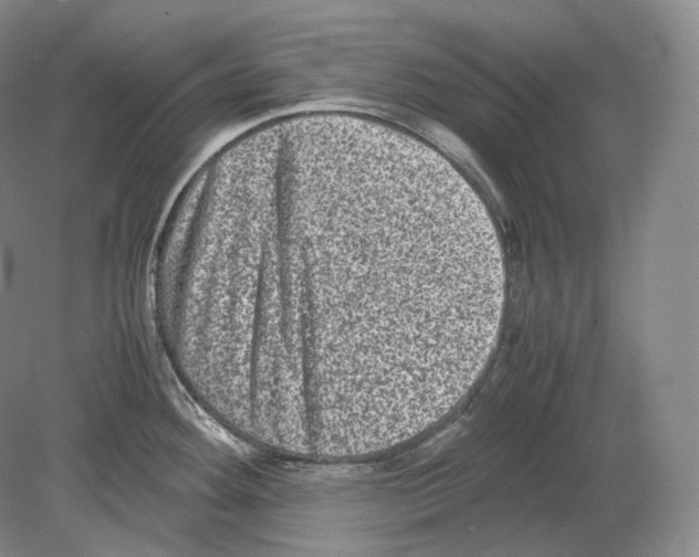 X0000078861292200612111638