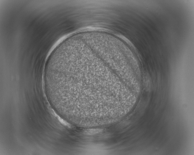 X0000078861294200612111638