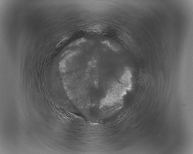 X0000078861297200612111637