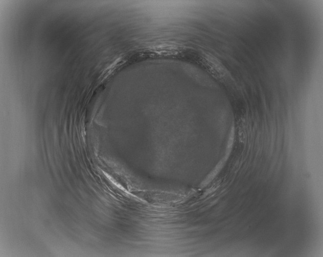 X0000078861298200612111637