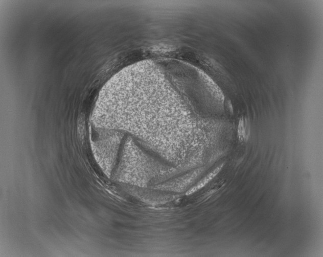 X0000078861299200612111637
