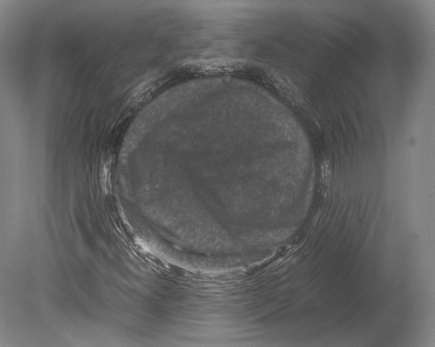 X0000078861300200612111637