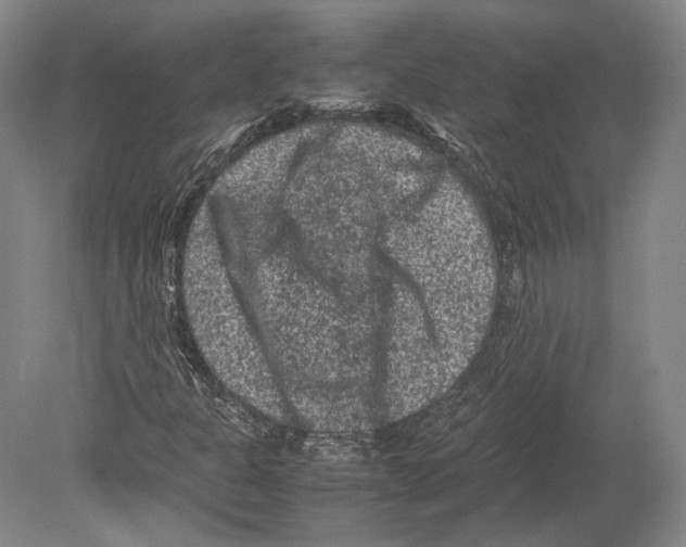 X0000078861301200612111637