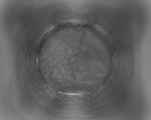 X0000078861302200612111637