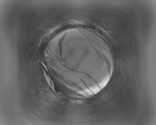 X0000078861303200612111637