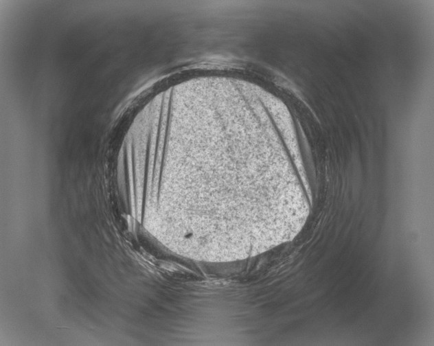 X0000078861304200612111637
