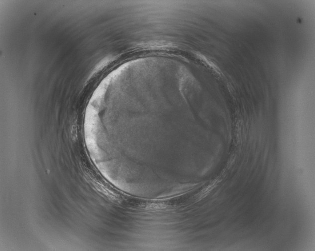 X0000078861306200612111637