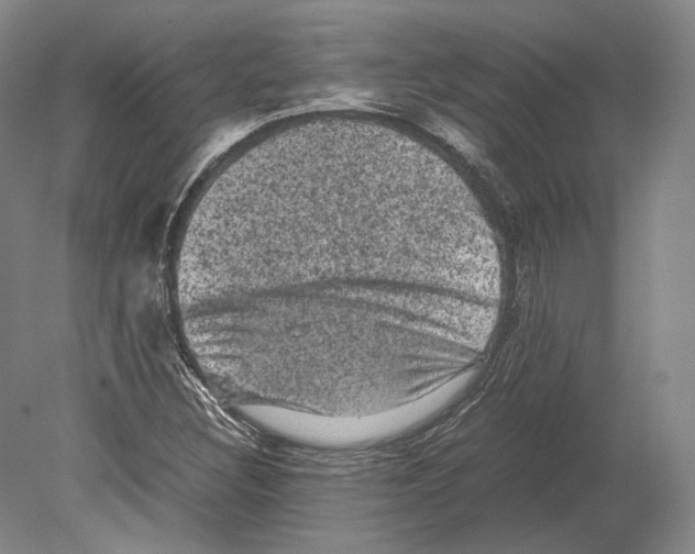 X0000078861308200612111637