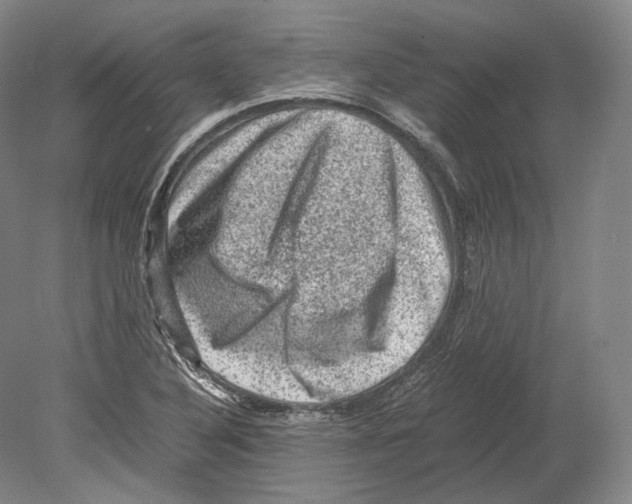 X0000078861316200612111637