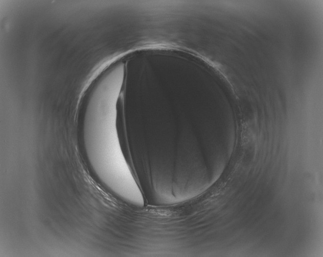 X0000078861319200612111637
