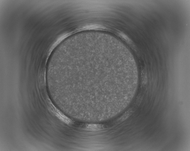 X0000078861322200612111637