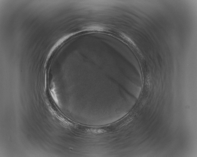 X0000078861323200612111637