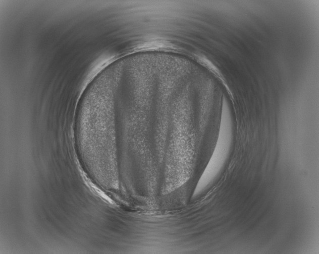 X0000078861330200612111637