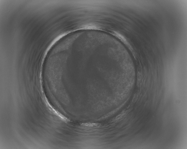 X0000078861331200612111637
