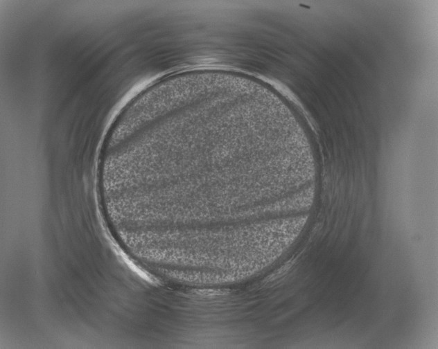 X0000078861333200612111637