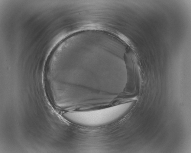 X0000078861334200612111637