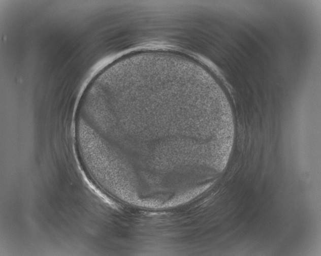 X0000078861335200612111637