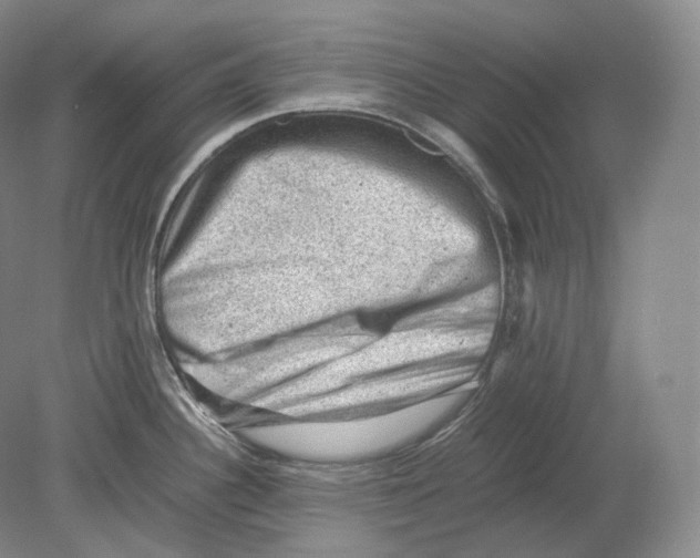 X0000078861340200612111637